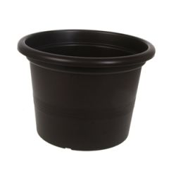 Puķu pods Campanula 40cm brūns