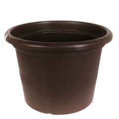 Puķu pods Campanula 50cm brūns