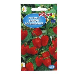 Sēklas Zemenes Baron Solemacher 0.3g