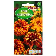 Sēklas Cinnija meksikāņu 1g