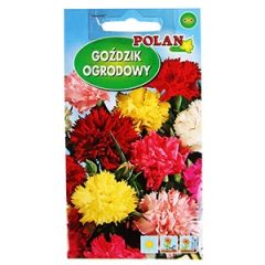 Sēklas Neļķes dārza 1g