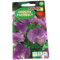 Sēklas Puķuzirņi lillā 3g