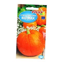 Sēklas Ķirbis Big Max 3g