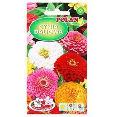 Sēklas Cinnijas dālijveida mix 1g