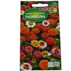 Sēklas Cinnijas zemās mix 1g