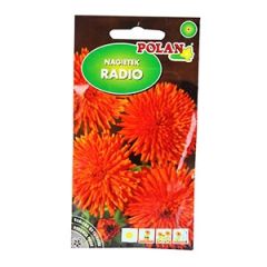 Sēklas Kliņģerītes Radio oranžas 3g