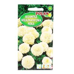 Sēklas Samtenes Albatros baltas 0.5g