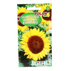 Sēklas Saulespuķe Bambino 30cm 2g