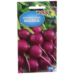 Sēklas Redīsi Malaga 5g