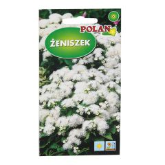 Sēklas Agerāts balts 0.3g