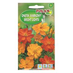 Sēklas Kosmeja bright light 1g P