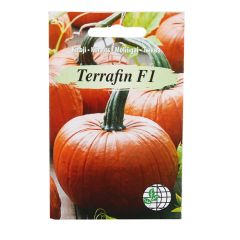 Sēklas Ķirbis Terrafin F1 AMC 5-sēklas