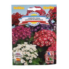 Sēklas Cinerārija mix 0.12g