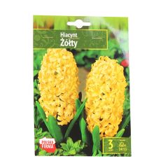 Sīpolpuķes Hiacintes dzeltenas 14/15 3gab.