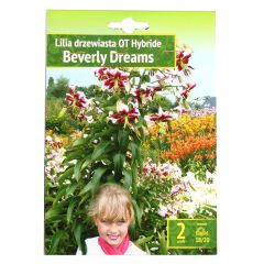 Sīpolpuķes Lilijas Beverly Dream 18/20 2gab.
