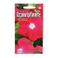 Sēklas Katarante Tatto black cherry 10gab.