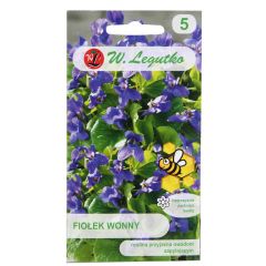 Sēklas Vijolīte smaržīgā violeta