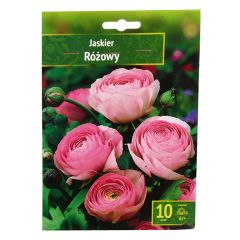 Sīpolpuķes Gundegas rozā 6 + 10gab