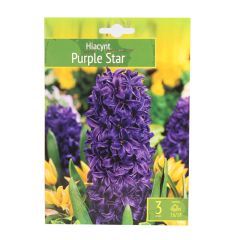 Sīpolpuķes Hiacintes PURPLE STAR 16/18 3gab.