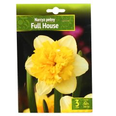 Sīpolpuķes Narcises FULL HOUSE 14/16 3 gab.