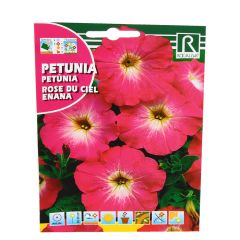 Sēklas Petūnijas Rose du ciel enana 0.5g