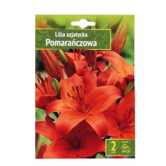 Sīpolpuķes Lilijas Āzijas oranžas 16/18 2gab.