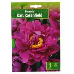 Sīpolpuķe Peonijas Karl Rosenfield 1gab.