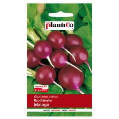 Sēklas Redīsi Malaga 5g