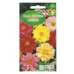 Sēklas Dālijas vasaras Unwins 2g P.