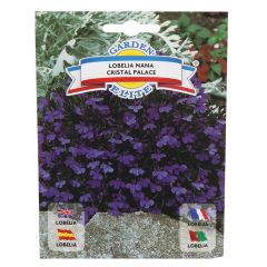 Sēklas Lobēlijas Cristal Palace 0.2g GS