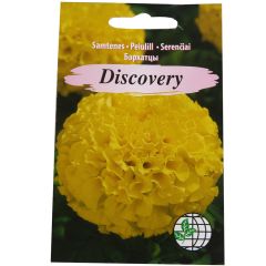 Sēklas Samtenes Discovery AMC 20 sēklas