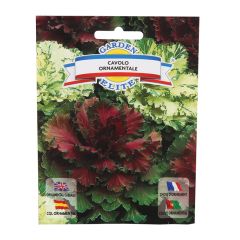 Sēklas Kāposts dekoratīvais 0.3g GS