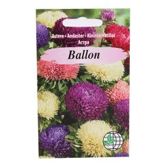 Sēklas Asteres Ballon 15gab.