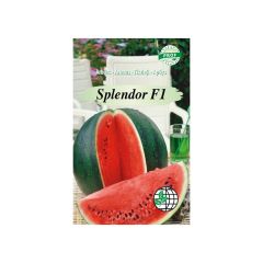 Sēklas Arbūzs Splendor F1, 5gab.