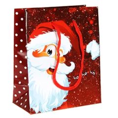 Dāvanu maisiņš Funny Santa11x6x13,5cm