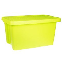Kaste ar vāku Essentials 45l, 30x40x58cm zaļa