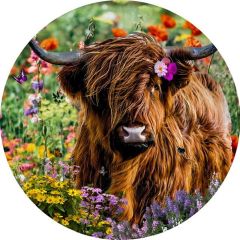 Foto glezna D80cm Buffalo 08949