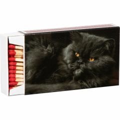 Sērkociņi 10cm 55gab. kastītē