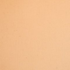 Žalūzija rullo 72X220 K816