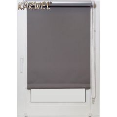 Žalūzija rullo  TERMO 72X220 BT04