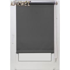 Žalūzija rullo  TERMO 72X220 BT06