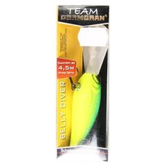 Vizulis Robinson Tiger 4