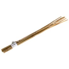 Bambusa mietiņi 60cm 6gab.