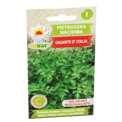 Sēklas Pētersīļi lapu Gigante de Italia