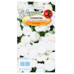 Sēklas Mārpuķītes zālienam baltas 0.2g