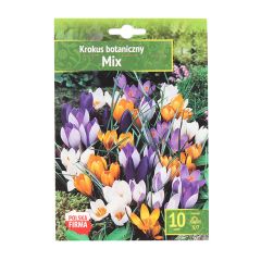 Sīpolpuķes Krokusi Botaniczny Mix 5/7 10gab.