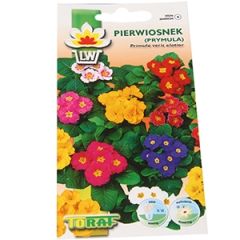 Sēklas Primula Eirāzijas 0.2g