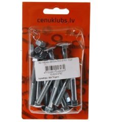 Iep.mēbeļu skrūve 603-8*60 10gab