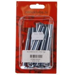 Iep.bultskrūve 931-8*80 10gab.