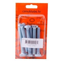 Iep.bultskrūve 933-10*70  6gb.